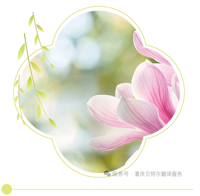 微信截圖_20250325205545.png